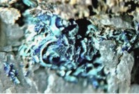 /album/galerie-photos/chalcantite-1-mod1-jpg/